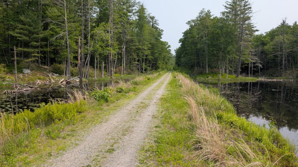 Bartell Trail to Brookline Rail Trail