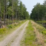Bartell Trail to Brookline Rail Trail